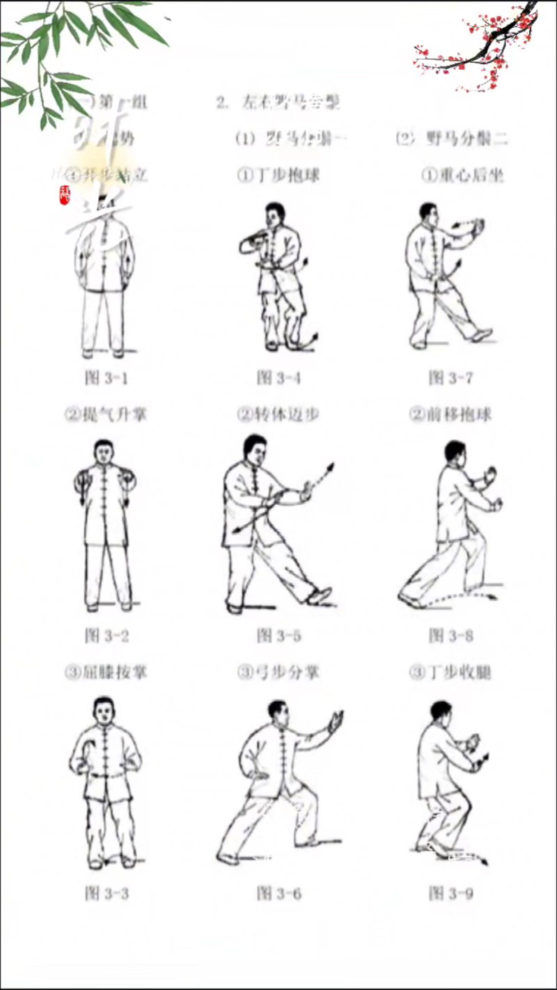 太极拳教学